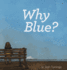 Why Blue