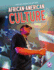 African-American Culture (African-American History)
