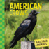 American Crows (Backyard Animals)