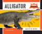 Alligator: Master of Might