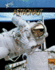 Astronaut (Xtreme Jobs)
