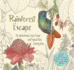 Rainforest Escape (Colouring Books)