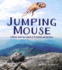 Jumping Mouse