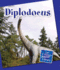 Diplodocus (21st Century Junior Library: Dinosaurs and Prehistoric Creat)