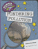 Pondering Pollution (Explorer Library: Science Explorer)