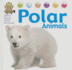 Polar Animals (Safari Sam's Wild Animals)