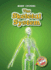 Skeletal System, the (Blastoff! Readers: Body Systems) (Body Systems: Blastoff Readers, Level 4)