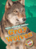 Gray Wolves (Blastoff! Readers: North American Animals) (North American Animals: Blastoff Readers, Level 3)