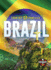 Brazil Country Profiles