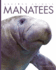 Manatees (Amazing Animals)