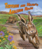 Tortoise and Hare's Amazing Race (Arbordale Collection)