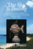The Sky Is Smiling: Heavenly set entrust of a Mona Lisa once also humbled by that same starry night and left smiling. 2006 - 2014