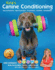 Kyra's Canine Conditioning: Peak Performance " Injury Prevention " Coordination " Flexibility " Rehabilitation (Volume 8) (Dog Tricks and Training, 8)