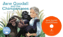 Jane Goodall and the Chimpanzees (Hardcover Plus Cd) (Science Biographies)