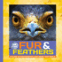 Fur & Feathers: a Close-Up Photographic Look Inside Your World