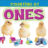 Counting By Ones (Concepts)