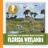 Florida Wetlands (Community Connections: Getting to Know Our Planet)