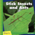 Stick Insects and Ants (21st Century Junior Library: Better Together)