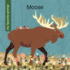 Moose (My Early Library: My Favorite Animal)