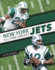 New York Jets All-Time Greats (Nfl All-Time Greats)