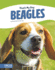 Beagles (That's My Dog (Paperback Set of 8))