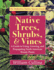 Native Trees, Shrubs, and Vines a Guide to Using, Growing, and Propagating North American Woody Plants Latest Edition