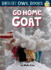 Go Home, Goat: Long Vowel O (Bright Owl Books)