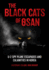 Black Cats of Osan