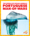 Portuguese Man-of-Wars (Pogo Books: the World of Ocean Animals)