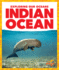 Indian Ocean