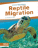 Reptile Migration (Animal Migrations)