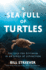 A Sea Full of Turtles