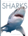 Sharks (Amazing Animals)