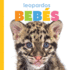 Leopardos Bebs