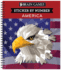 Brain Games-Sticker By Number: America (28 Images to Sticker)