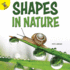 Rourke Educational Media Ready Readers Shapes in Nature (I Know)