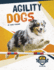 Agility Dogs Canine Athletes