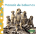 Manada De Babuinos / Baboon Troop