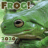 Frog! 2020 Mini Wall Calendar