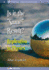 Is It the 'Same' Result: Replication in Physics (Iop Concise Physics)