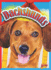 Dachshunds (Doggie Data)