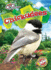 Chickadees (Backyard Birds)