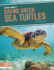 Saving Green Sea Turtles 9781644933831