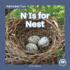 N is for Nest Library Binding? August 1, 2021