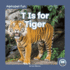 T is for Tiger Paperback? August 1, 2021