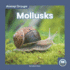 Mollusks (Animal Groups: Little Blue Readers Level 1)