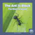 The Ant is Black: the Short a Sound (Hardback Or Cased Book)