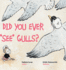 Did You Ever See Gulls