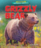 Grizzly Bear (Library of Awesome Animals)