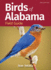 Birds of Alabama Field Guide (Bird Identification Guides)